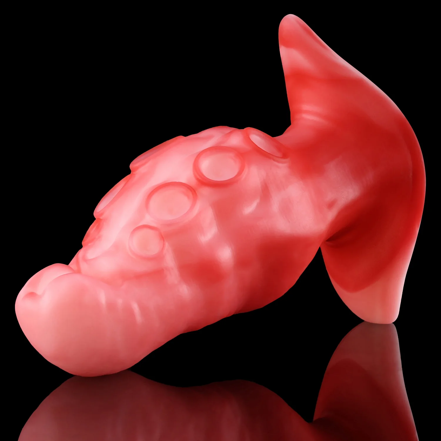 Nothosaur Top Picks