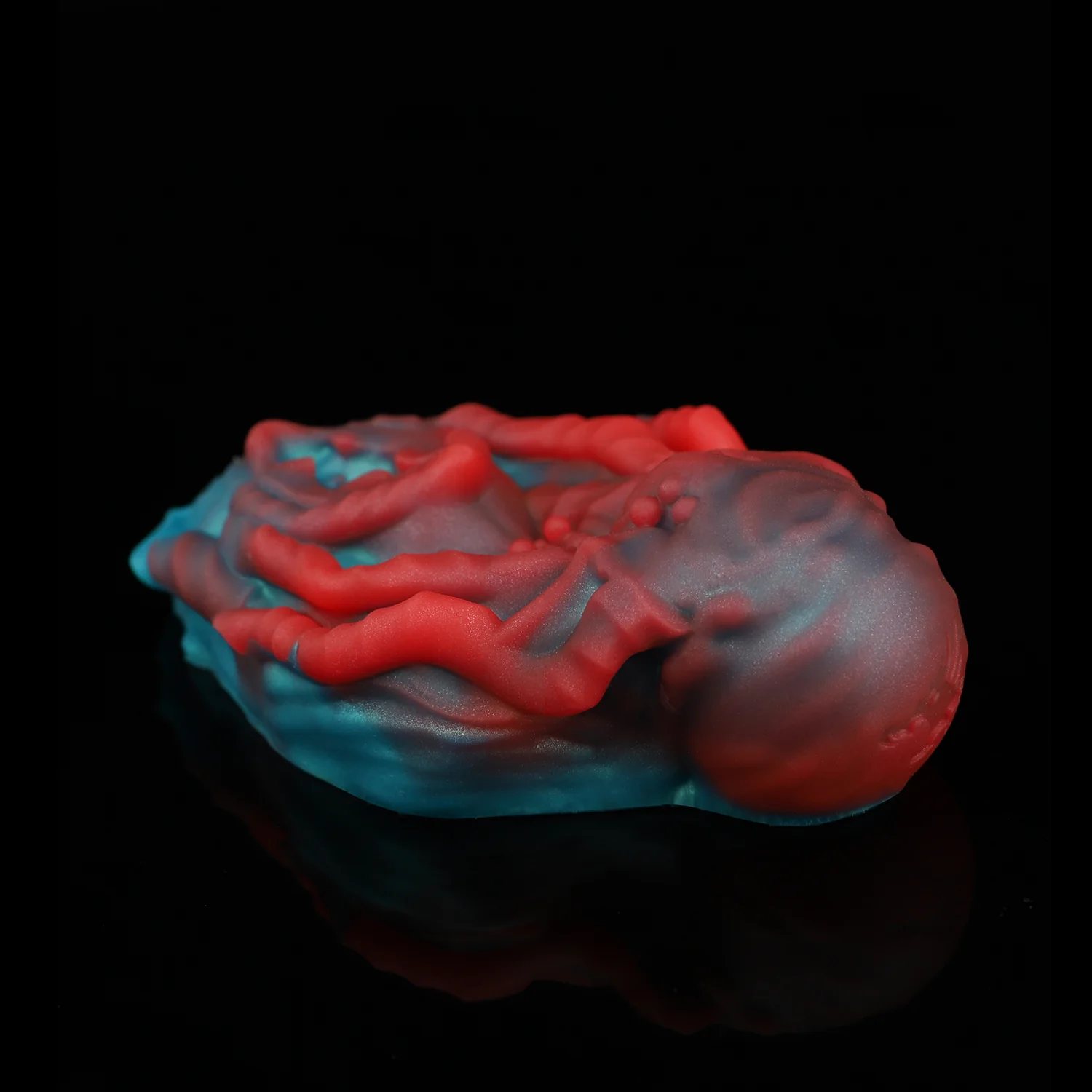 FLORA - Image 5