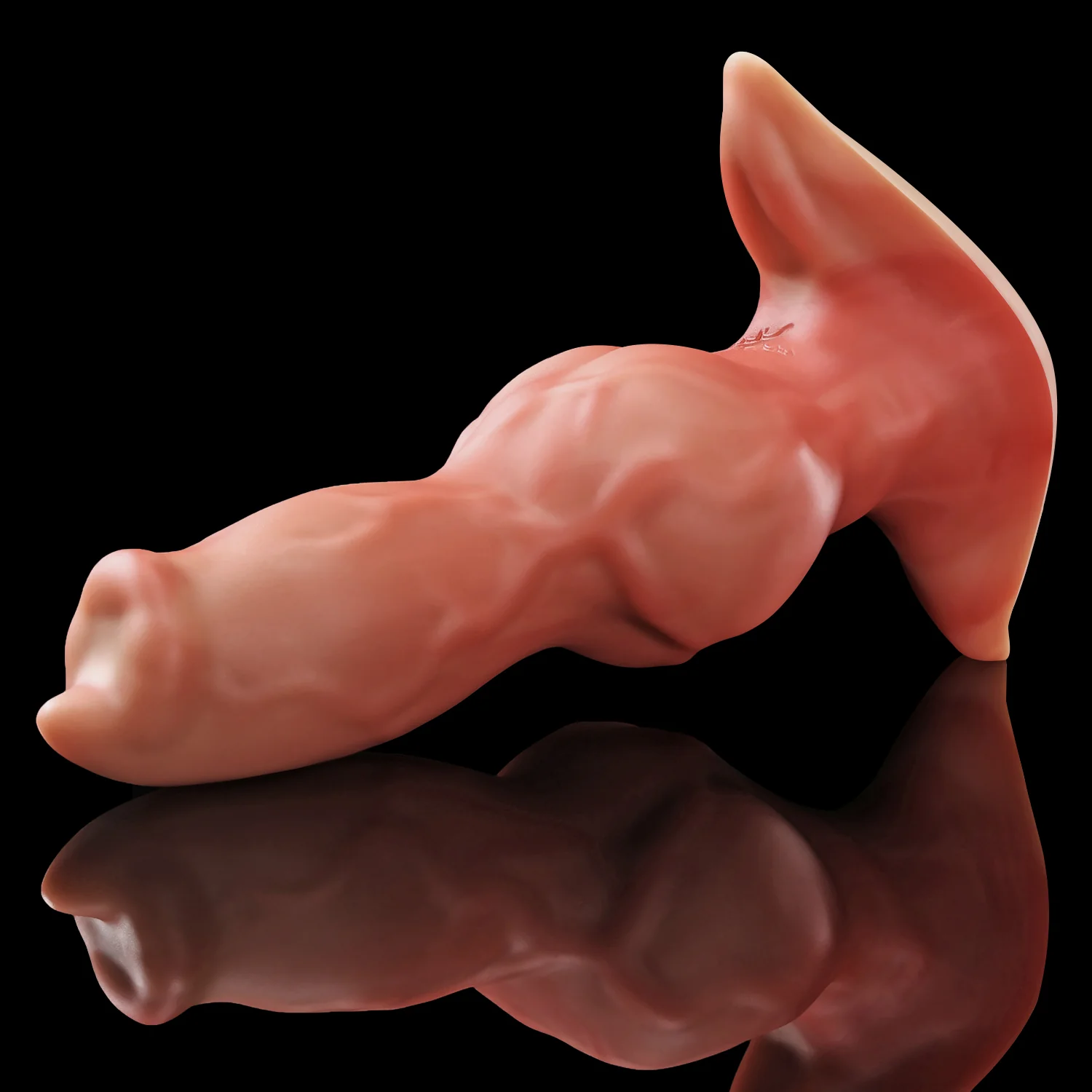 GRAE PLUG - Image 14