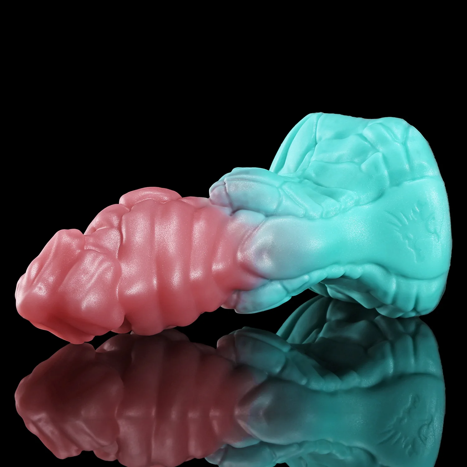 GRAVIOS - Image 4